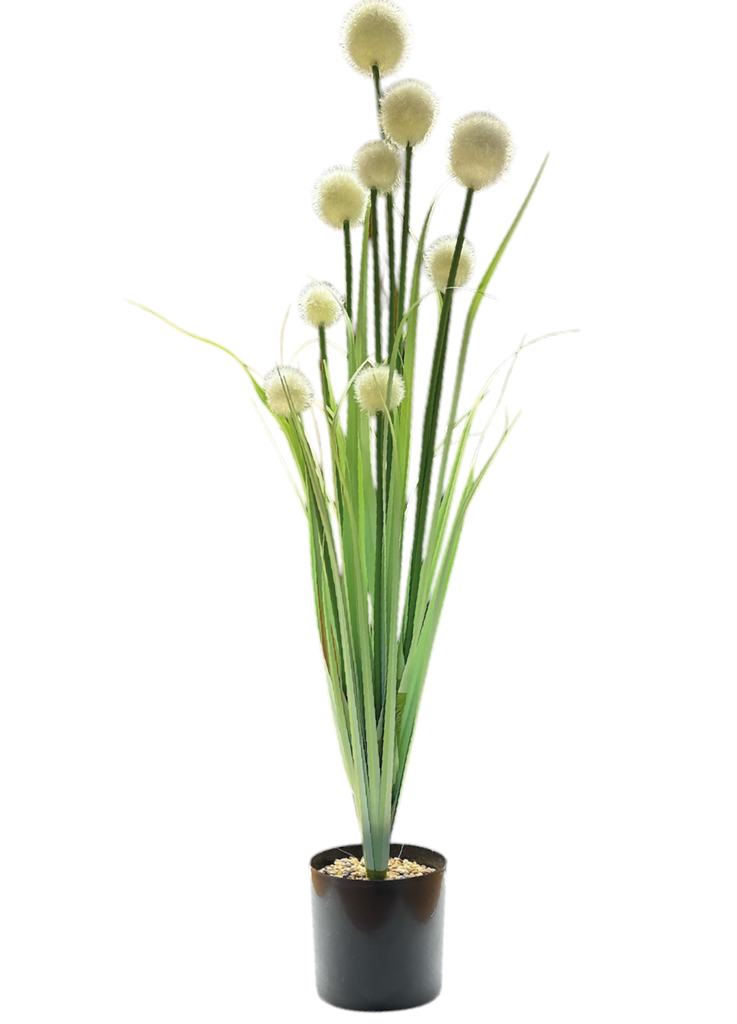 Planta C/ Maceta Surtida - 95cm