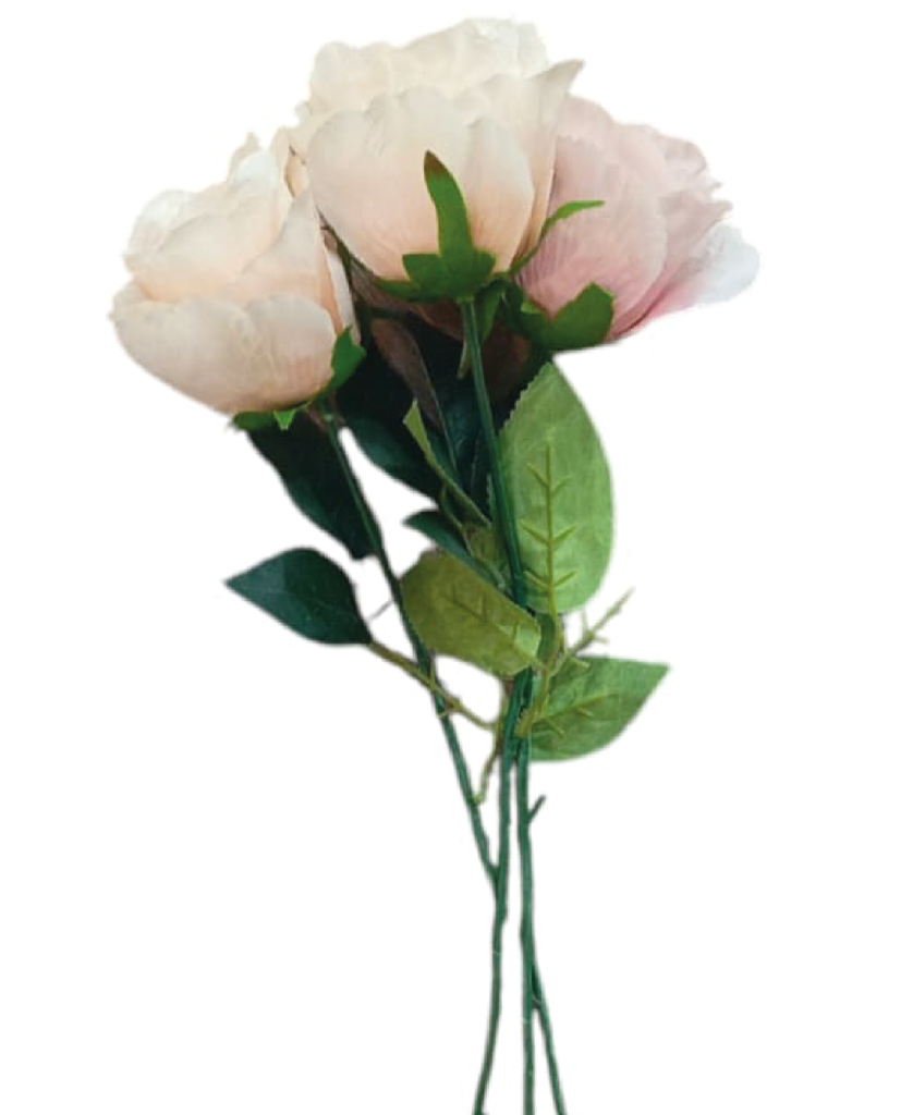 Rosa Unitaria