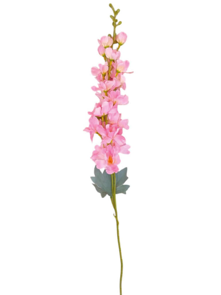 Espuela De Caballero