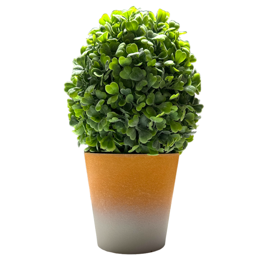 Planta C/Maceta  - 9.5x18cm