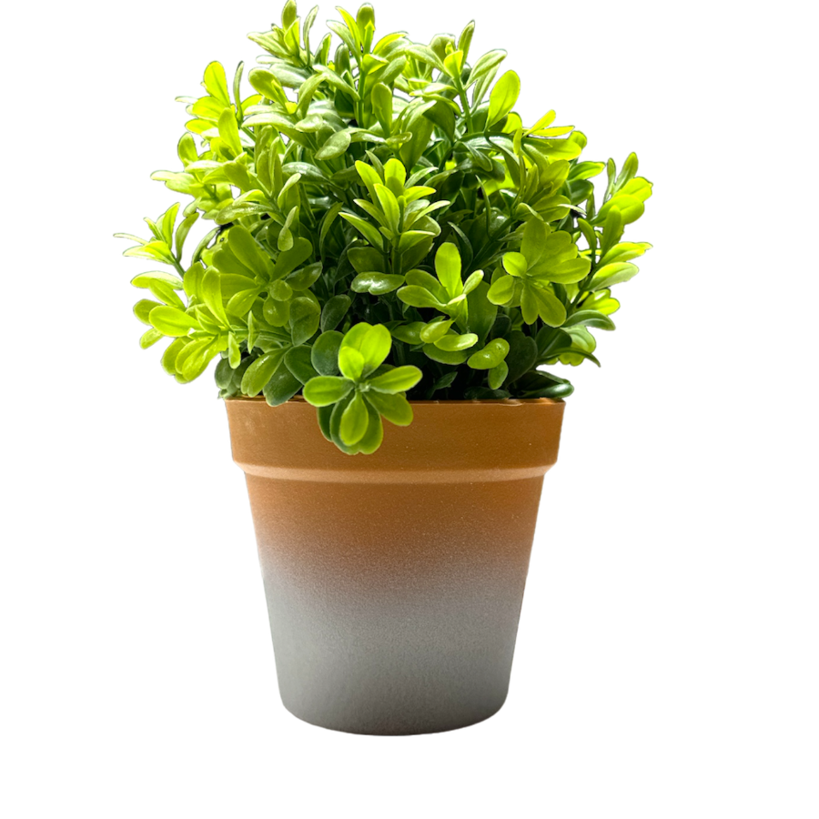 Planta C/Maceta - 10.5x21cm