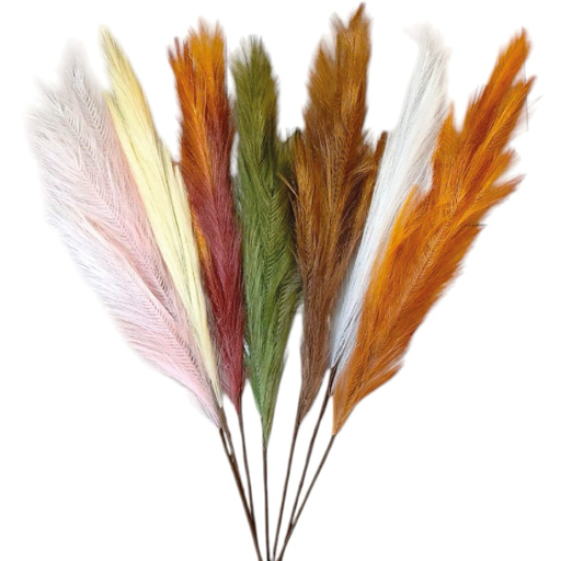 [2025010506517] Pluma De Pajaro