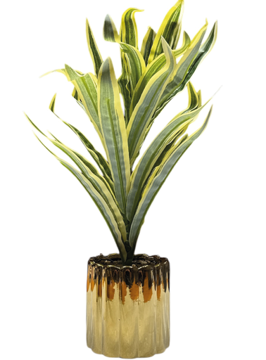 [6980000008111] Planta C/ Maceta Surtida - 36cm