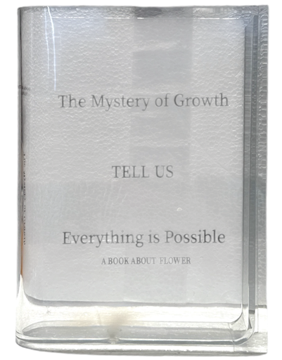 [6980000007251] Florero De Acrilico - 18x15x4cm