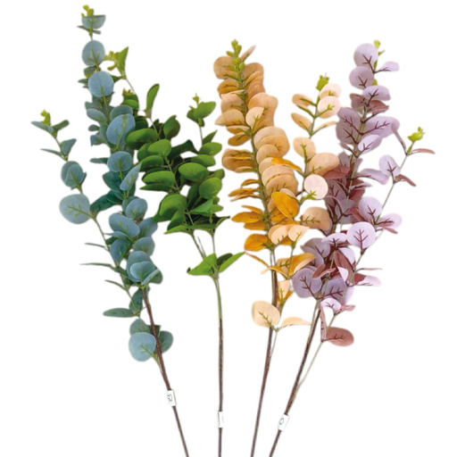 [2025010509419] Hojas Eucalipto