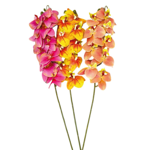 [2025010508412] Orquideos