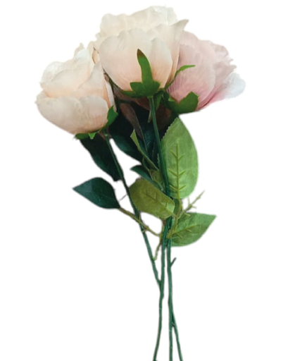 [IH324] Rosa Unitaria