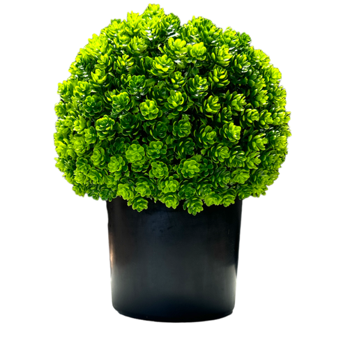 [6584599228211] Planta C/Maceta -11x24cm