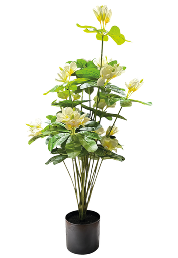 [6980000007985] Planta C/ Maceta - 90cm