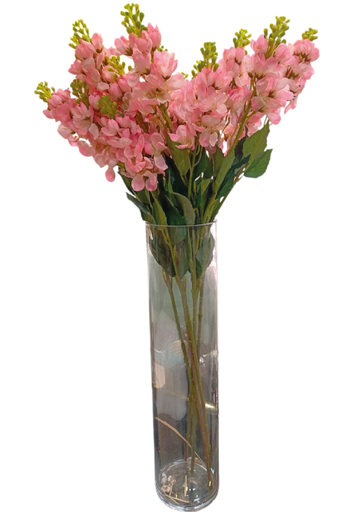 [2025010507415] Flor Manzana