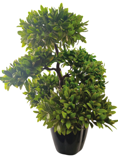 [7820122062716] Planta C/Maceta