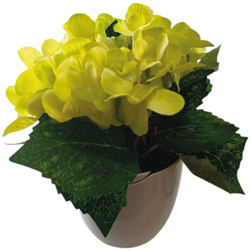 [6958120104792] Planta C/ Maceta  - 9x20cm