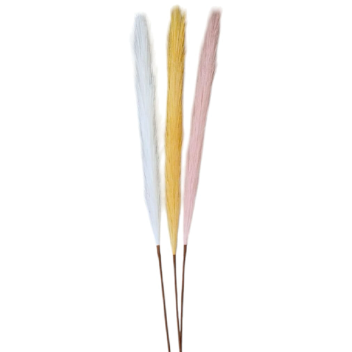 [2025010507514] Pluma