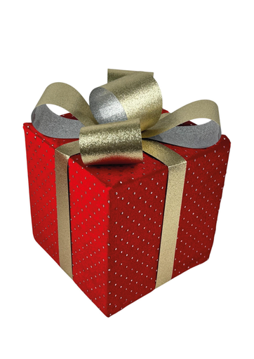 [7450209377718] CAJA DE REGALO - MEDIDAS: 20X20X22CM